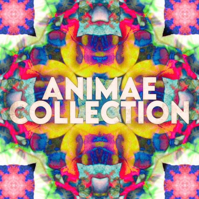Animae Collection image